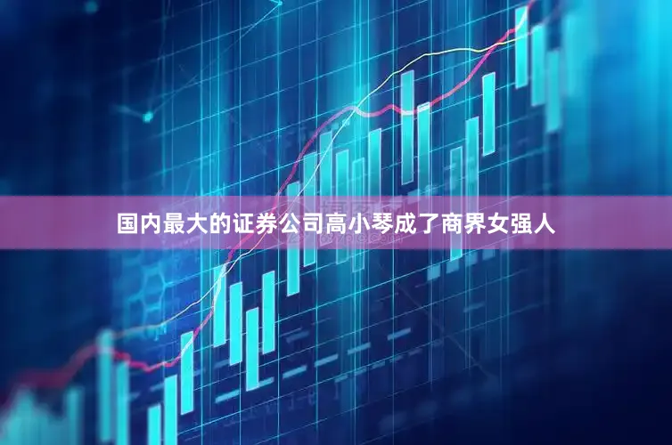 国内最大的证券公司高小琴成了商界女强人