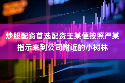 炒股配资首选配资王某便按照严某指示来到公司附近的小树林