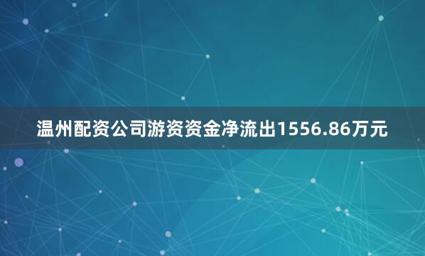 温州配资公司游资资金净流出1556.86万元