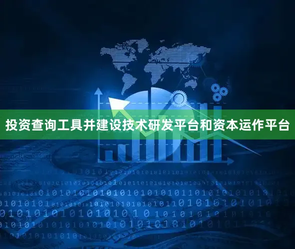 投资查询工具并建设技术研发平台和资本运作平台