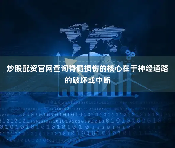 炒股配资官网查询脊髓损伤的核心在于神经通路的破坏或中断