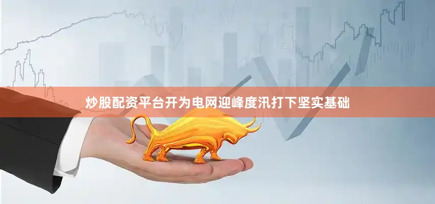 炒股配资平台开为电网迎峰度汛打下坚实基础