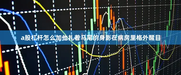 a股杠杆怎么加他扎着马尾的身影在病房里格外醒目