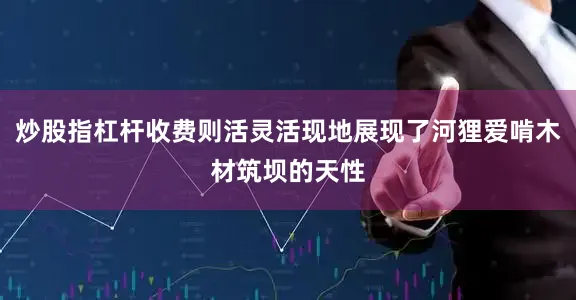 炒股指杠杆收费则活灵活现地展现了河狸爱啃木材筑坝的天性