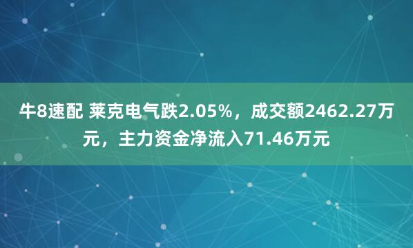 牛8速配 莱克电气跌2.05%，成交额2462.27万元，主力资金净流入71.46万元