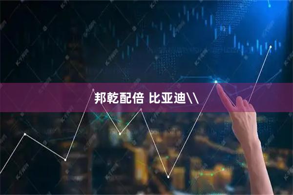 邦乾配倍 比亚迪\