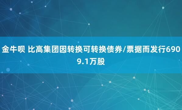 金牛呗 比高集团因转换可转换债券/票据而发行6909.1万股