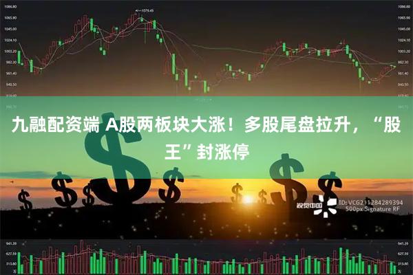 九融配资端 A股两板块大涨！多股尾盘拉升，“股王”封涨停