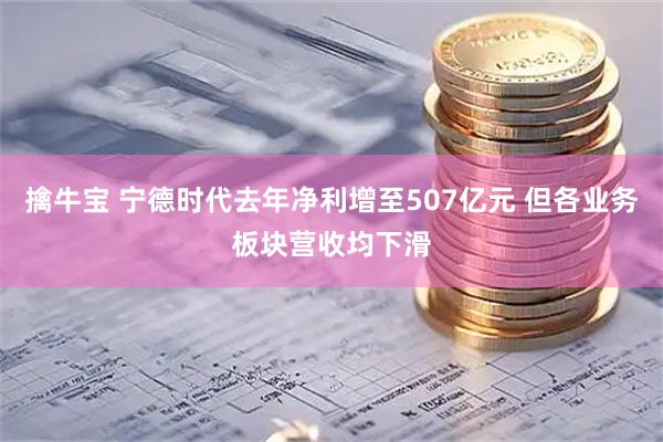 擒牛宝 宁德时代去年净利增至507亿元 但各业务板块营收均下滑